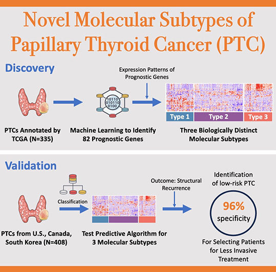 Read more about the article A clinically useful and biologically informative genomic classifier for papillary thyroid cancer [2023]